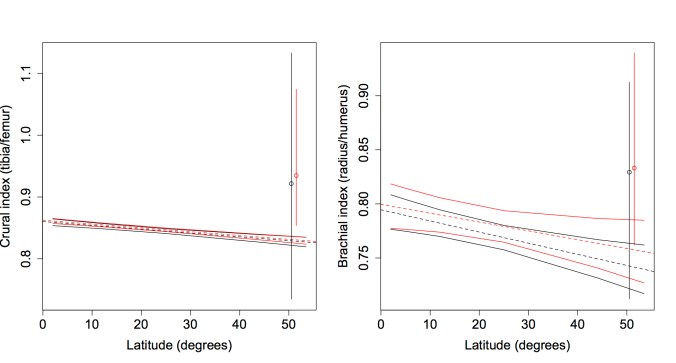 class models both copy