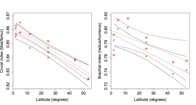 Left: Crural index (tibia length/femur length) related to latitude, as a proxy for climate. Right: Brachial index (radius length/humerus length) plotted against latitude. Data from Kurki et al. (2008). Black=female, red=male. Dashed lines are  regression slopes for each sex, and solid lines indicate the 95% confidence limits of the regression lines.