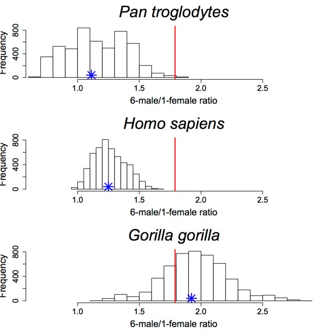Dimorphism ratios copy