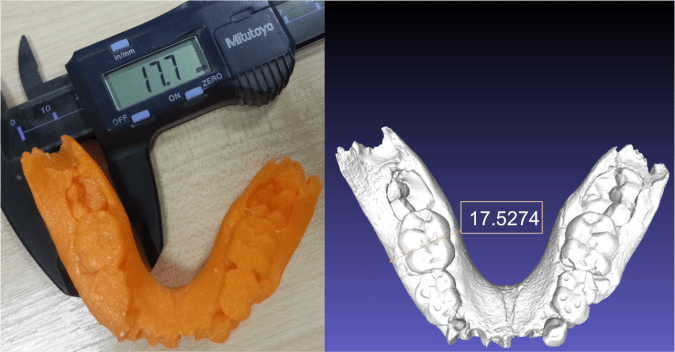 Lower jaw of an infant Australopithecus boisei (KNM ER 1477). Left is the plastic cast printed from the laser scan on the right.