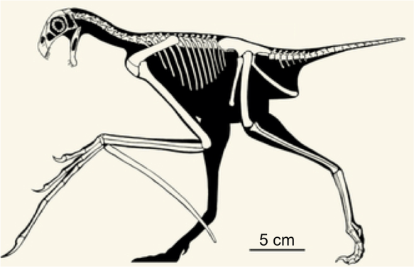 The dinosaur version of Edward Scissorhands.
