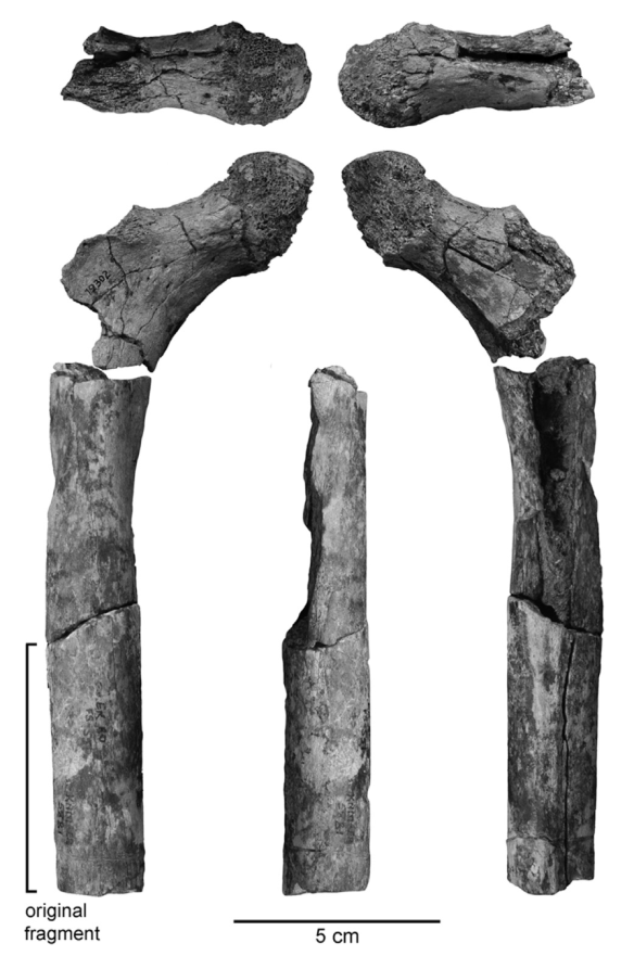 Figure 3 from Ward et al. 2015.