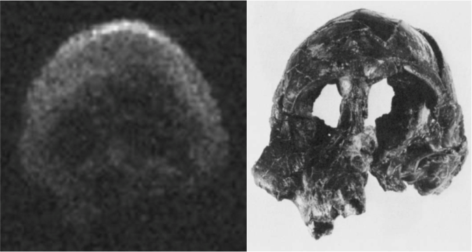 Dead comet (left), and AL 333-105 (right). Modified from Fig. 12 of Kimbel et al. (1982).
