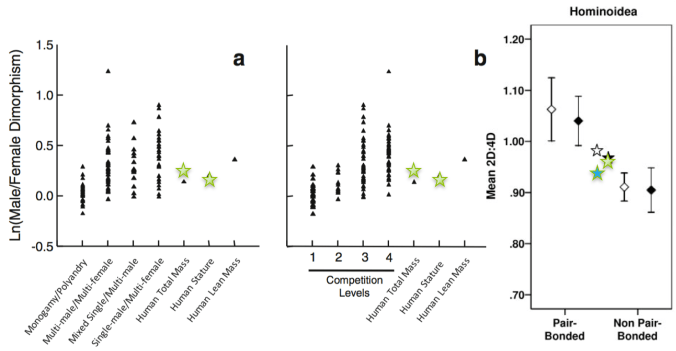 Sexual dimorphism in our classroom compared with what is seen in primates with different mating systems and levels male-male competition. Our class values are the stars, and in the right plot blue is males and green is females. Figures from Plavcan (2012) and Nelson & Schultz (2010).