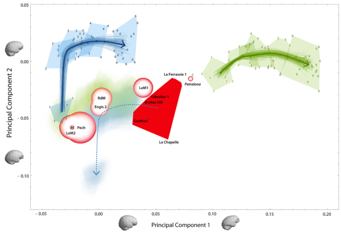 Screen Shot 2016-07-26 at 4.38.39 PM