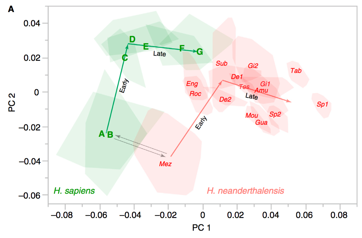 Screen Shot 2016-07-26 at 4.47.13 PM