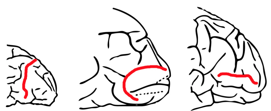 Screen Shot 2017-02-25 at 9.07.54 AM.png