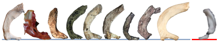 Screen Shot 2017-12-11 at 9.21.13 AM