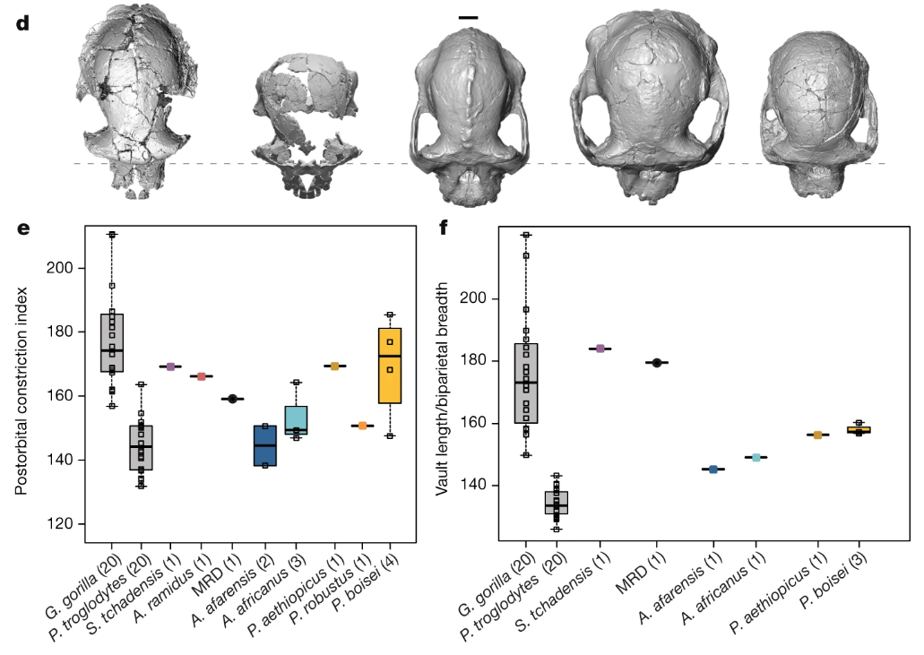 Screen Shot 2019-08-30 at 8.32.37 AM