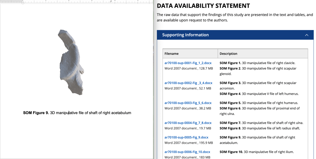 Two-panels showing a Microsoft Word window (left panel) with a 3D model of a fossil, beneath which is written "SOM Figure 9. 3D manipulative file of shaft of right acetabulum"; and an internet browser screenshot (right panel) depicting the "Supporting Information" section from this website: https://anatomypubs.onlinelibrary.wiley.com/doi/full/10.1002/ar.70100